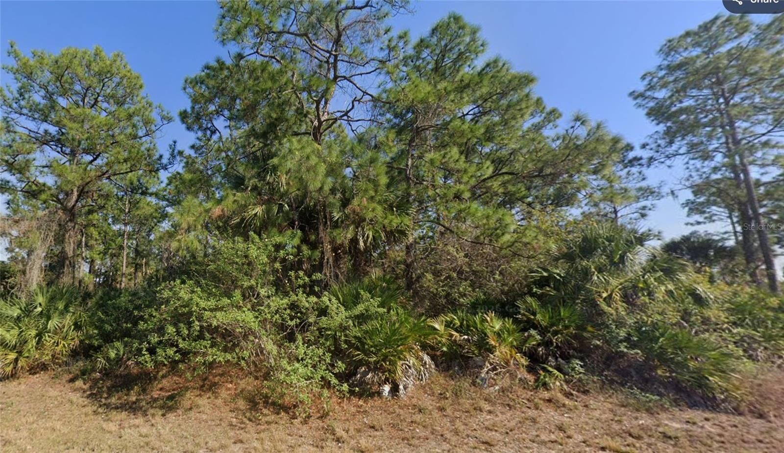Property Photo:  1002 Silverfish Drive  FL 33935 