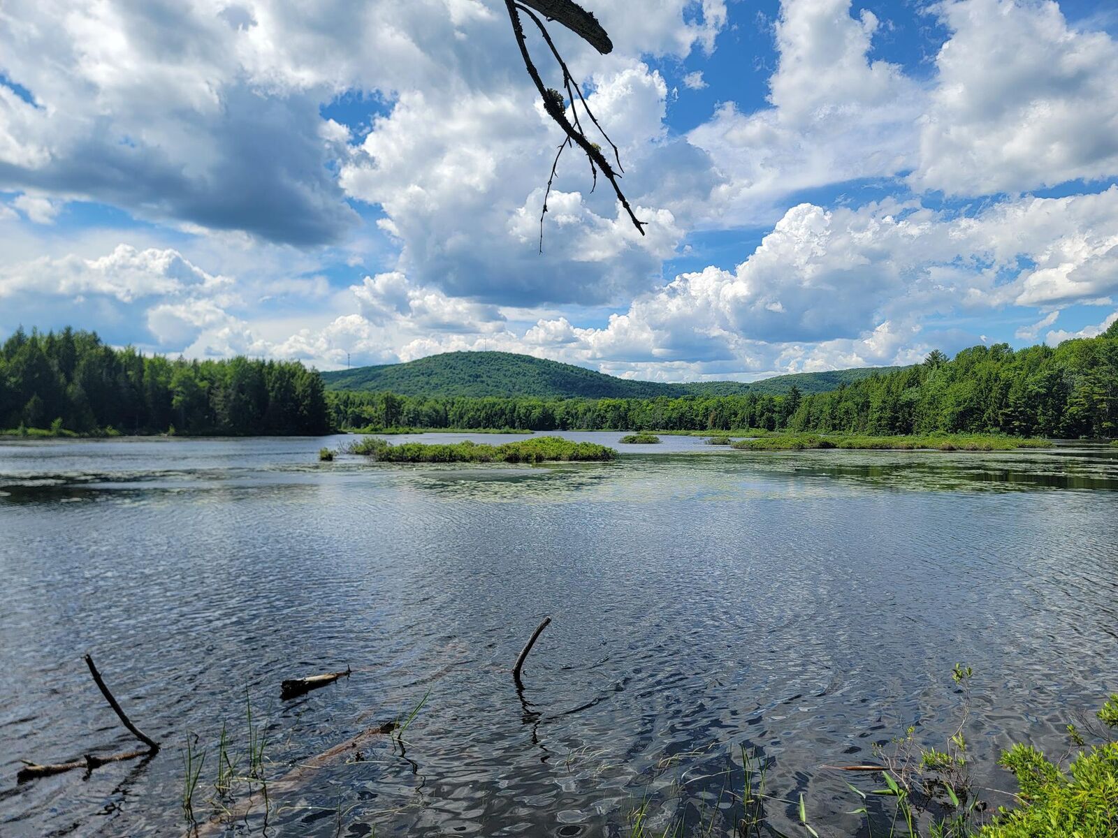 Property Photo:  477 Hadley Mill Road  ME 04921 