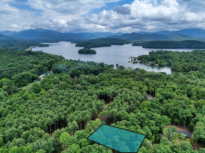 Property Photo:  124 Lakeside Estates Drive  NC 28904 