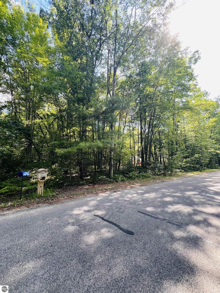 Property Photo: Lot 789 Redwine MI 48653