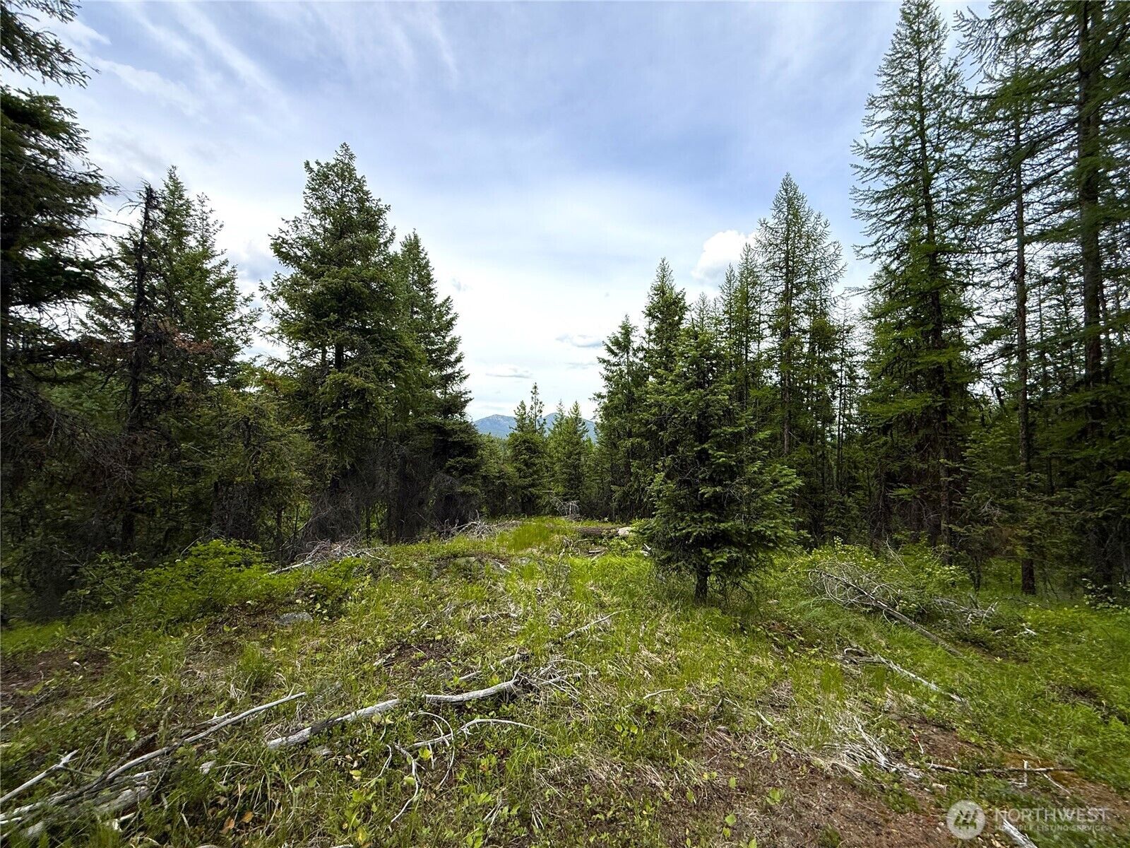 Property Photo:  0 Tbd  Mule Deer Road  WA 99166 