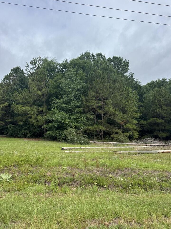 Property Photo:  00 Cooper Lane (Fronts Hwy 301 St Paul Road) Lot #13  SC 29148 