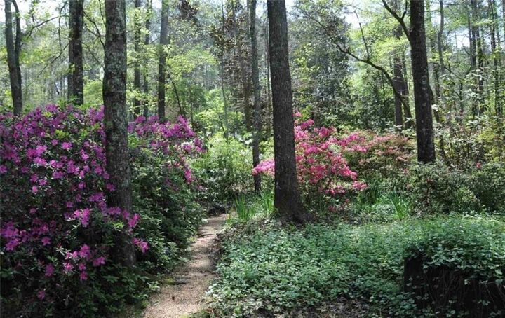 Property Photo:  385 Vaughn Road  GA 30265 