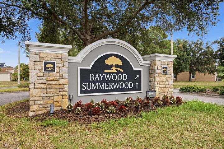 Property Photo:  6924 Towering Spruce Drive  FL 33578 