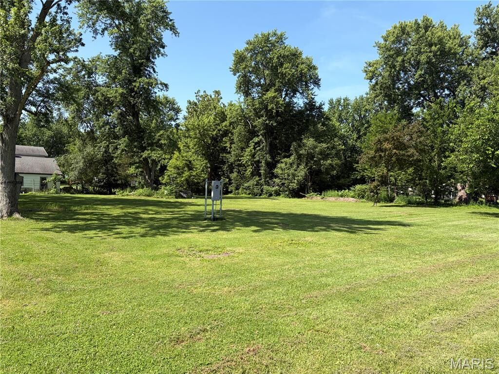 Property Photo:  1005 S Montgomery Avenue  IL 62056 