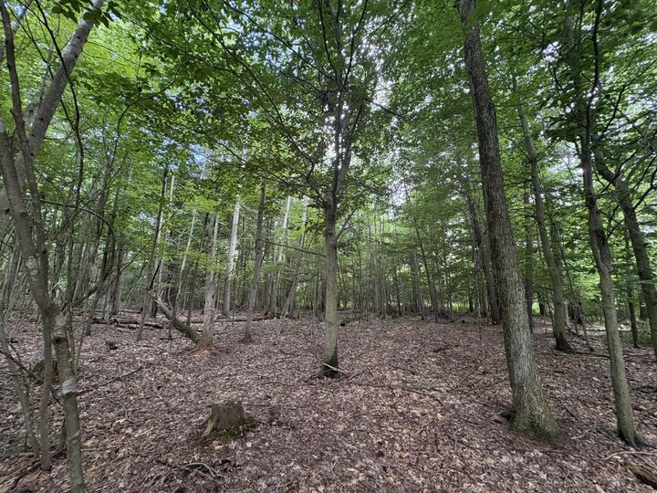 Property Photo: 109th Avenue MI 49450