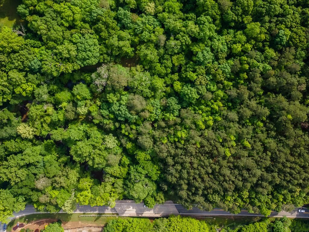 Property Photo:  4.5 Ac Hickory Flat Highway  GA 30188 