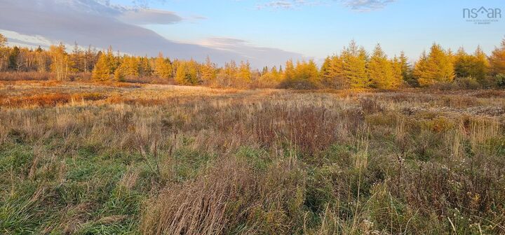 Property Photo:  7888 Highway 354  NS B0N 1T0 