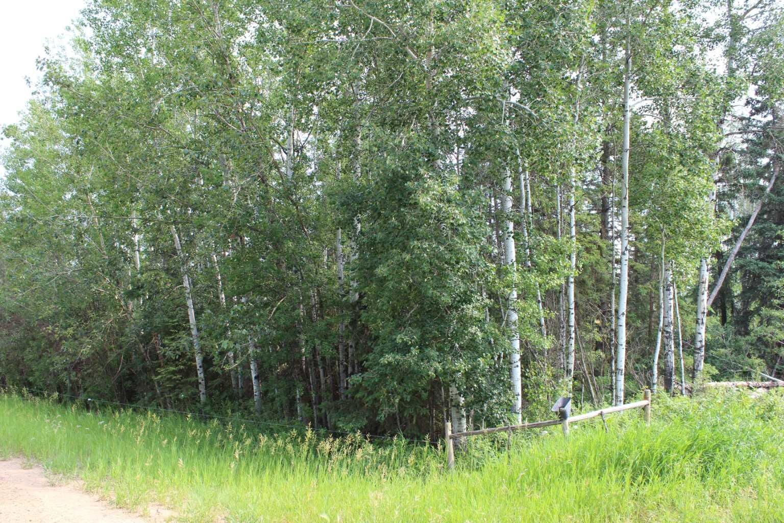 Property Photo: 155 Range SE AB T0H 1N0