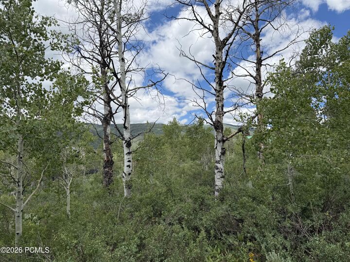 Property Photo:  5451 E Targhee Drive 335  UT 84055 