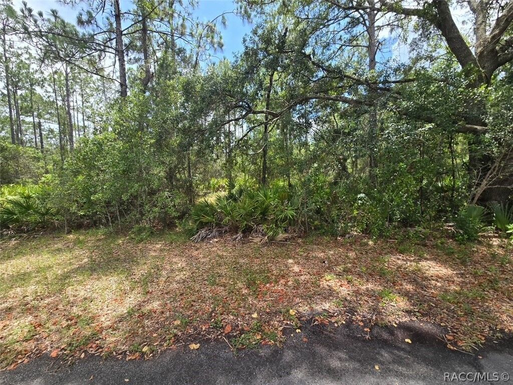 Property Photo: 28 Mangrove Court S FL 34446