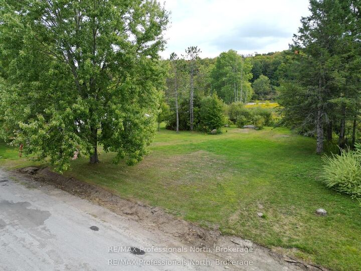 Property Photo:  0 Parts Lot 12, Plan 1, Anson Street  ON K0M 2K0 