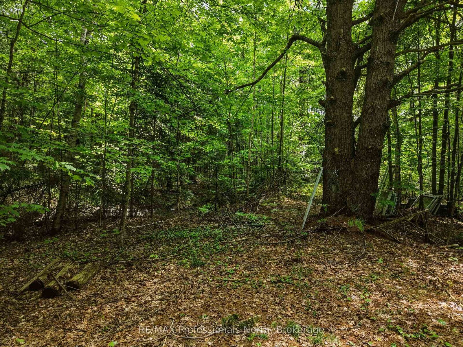 Property Photo:  2445 Manitoba Street  ON P1L 1X4 