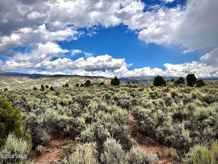 Property Photo:  1351 E Haystacker Drive  CO 81631 