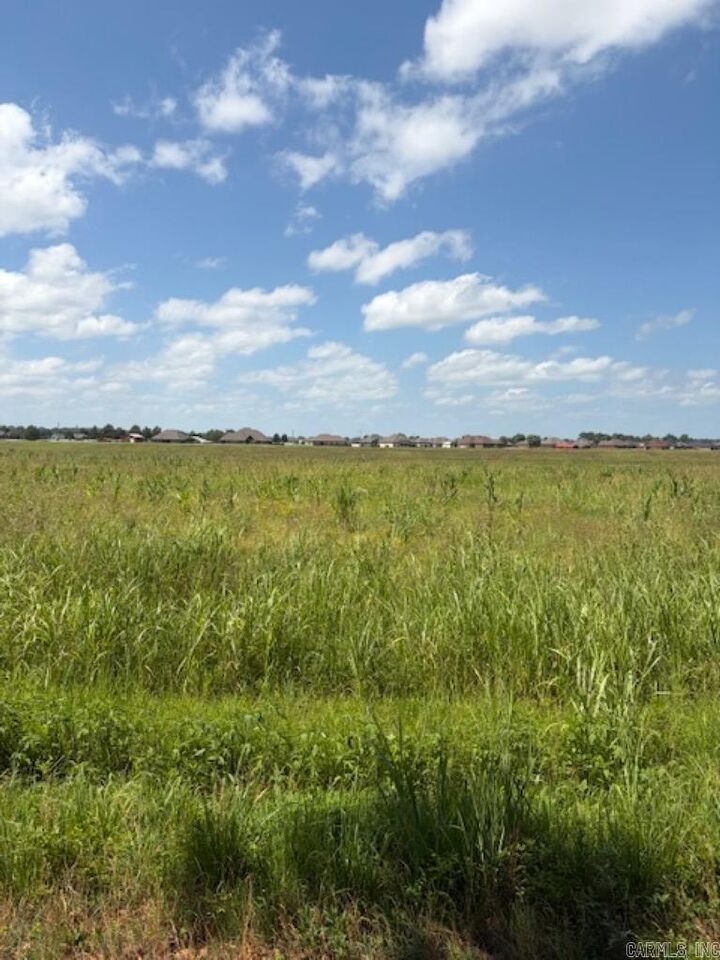 Property Photo: Lot 2 Upper Steel Bend Road AR 72142