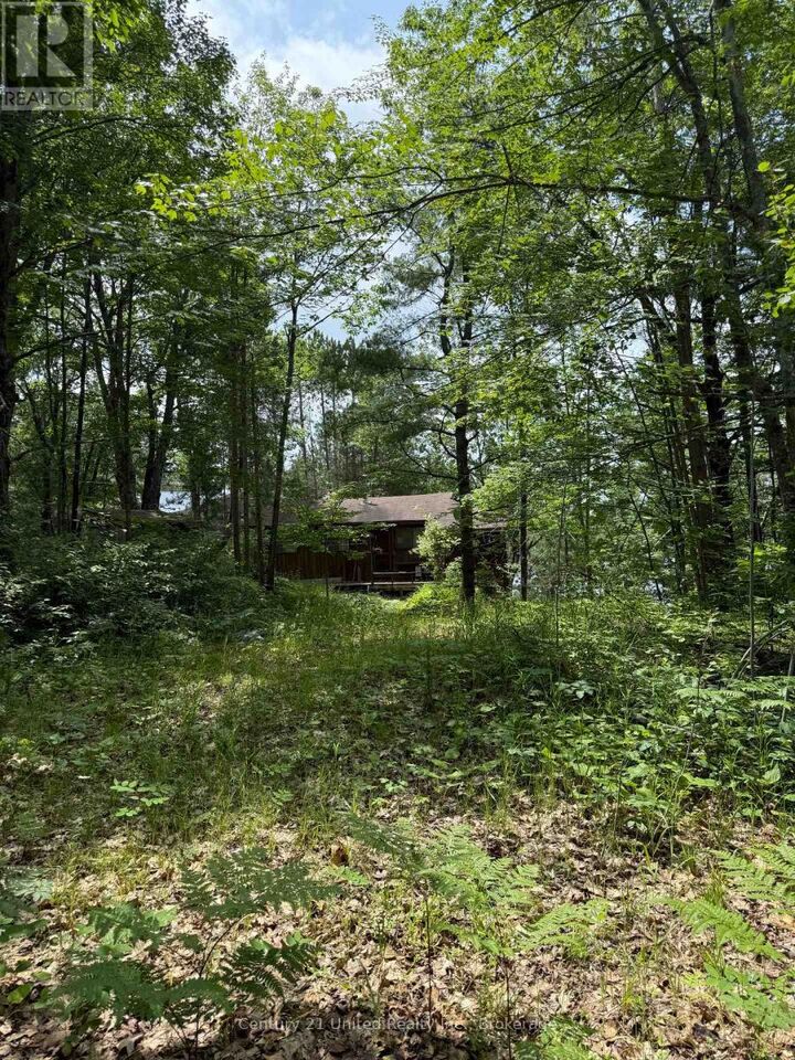 Property Photo:  620 Fire Route 83  ON K0L 1Z0 