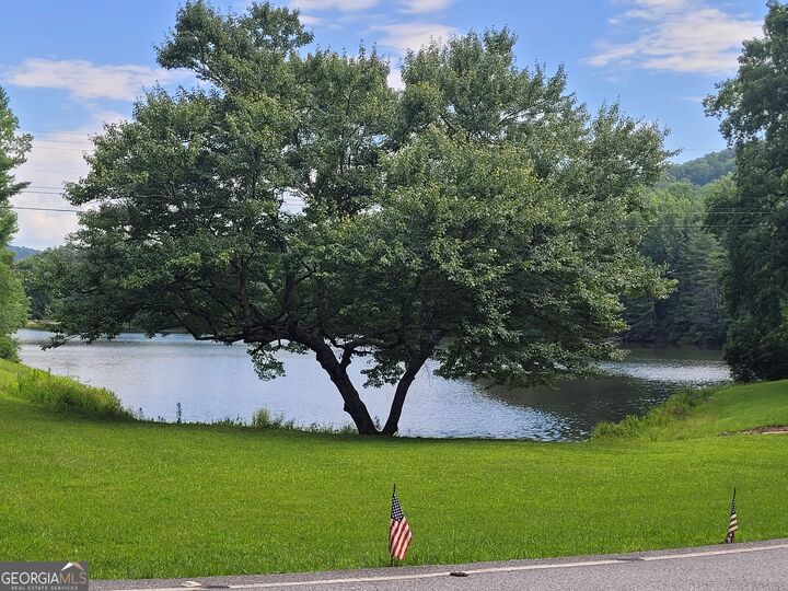 Property Photo:  0 Pinecrest Road  GA 30571 