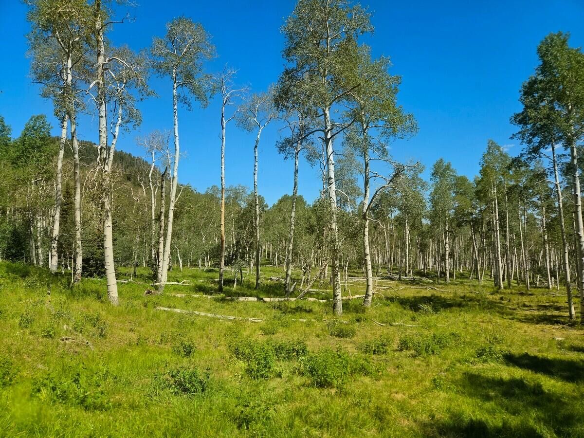Property Photo: 40 Acres Summit Mountain Rd UT 84719
