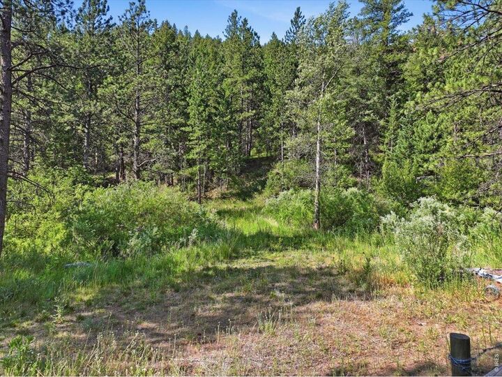 Property Photo:  Spiritwood Ln  CO 80512 