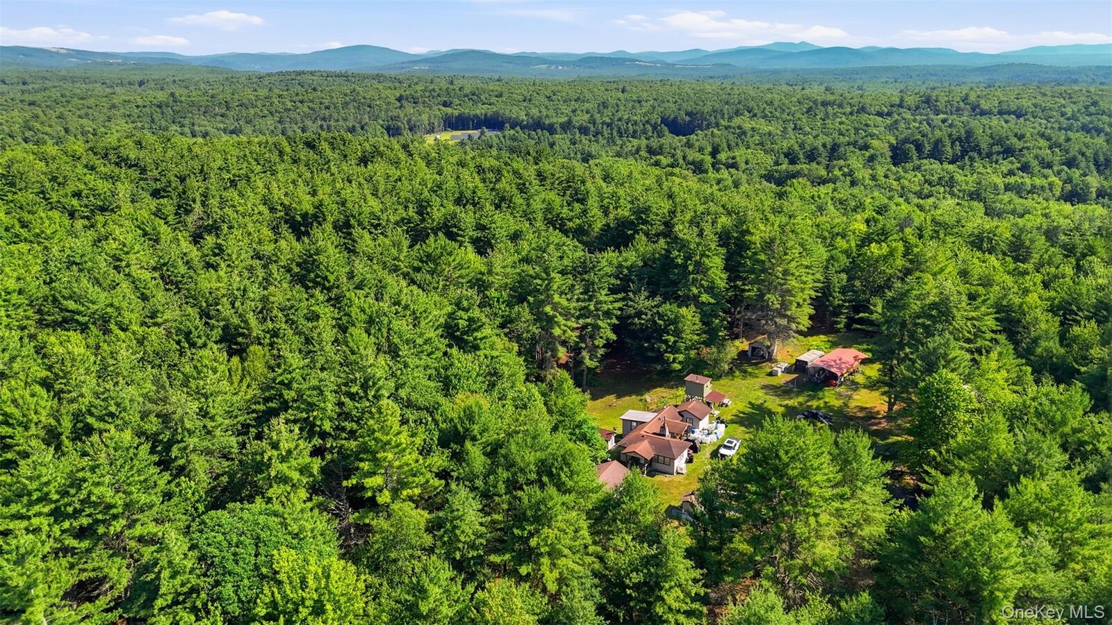 Property Photo: 7300 State Route 52 NY 12435