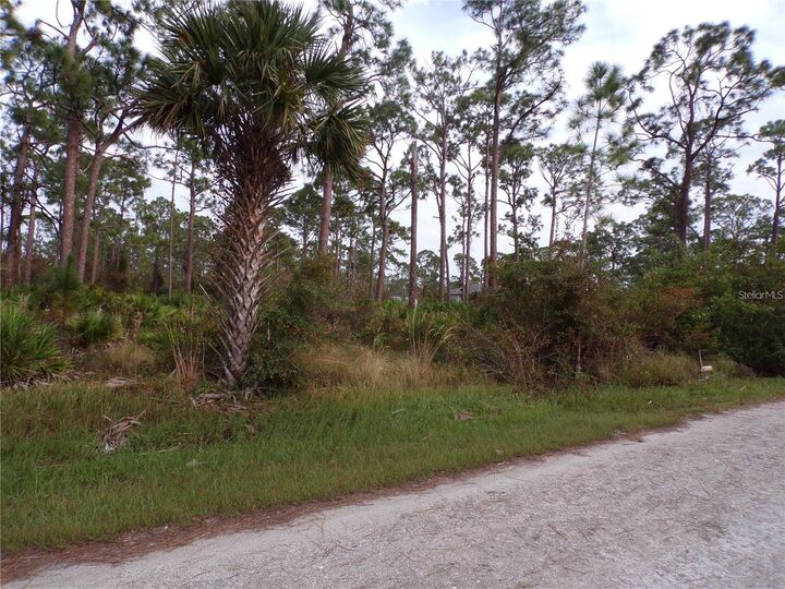 Property Photo: 13338 Wedgewood Drive FL 33955