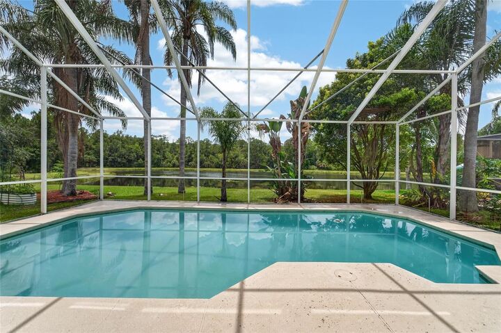 Property Photo: 19128 Meadow Pine Drive FL 33647