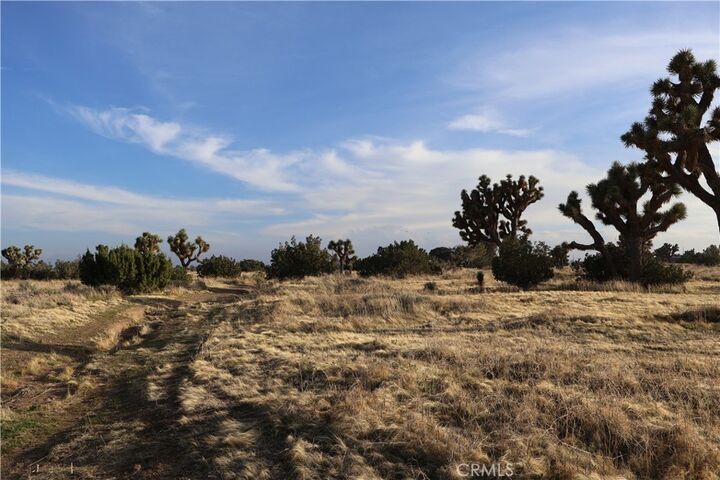 Property Photo:  9955 Macron Street  CA 92344 