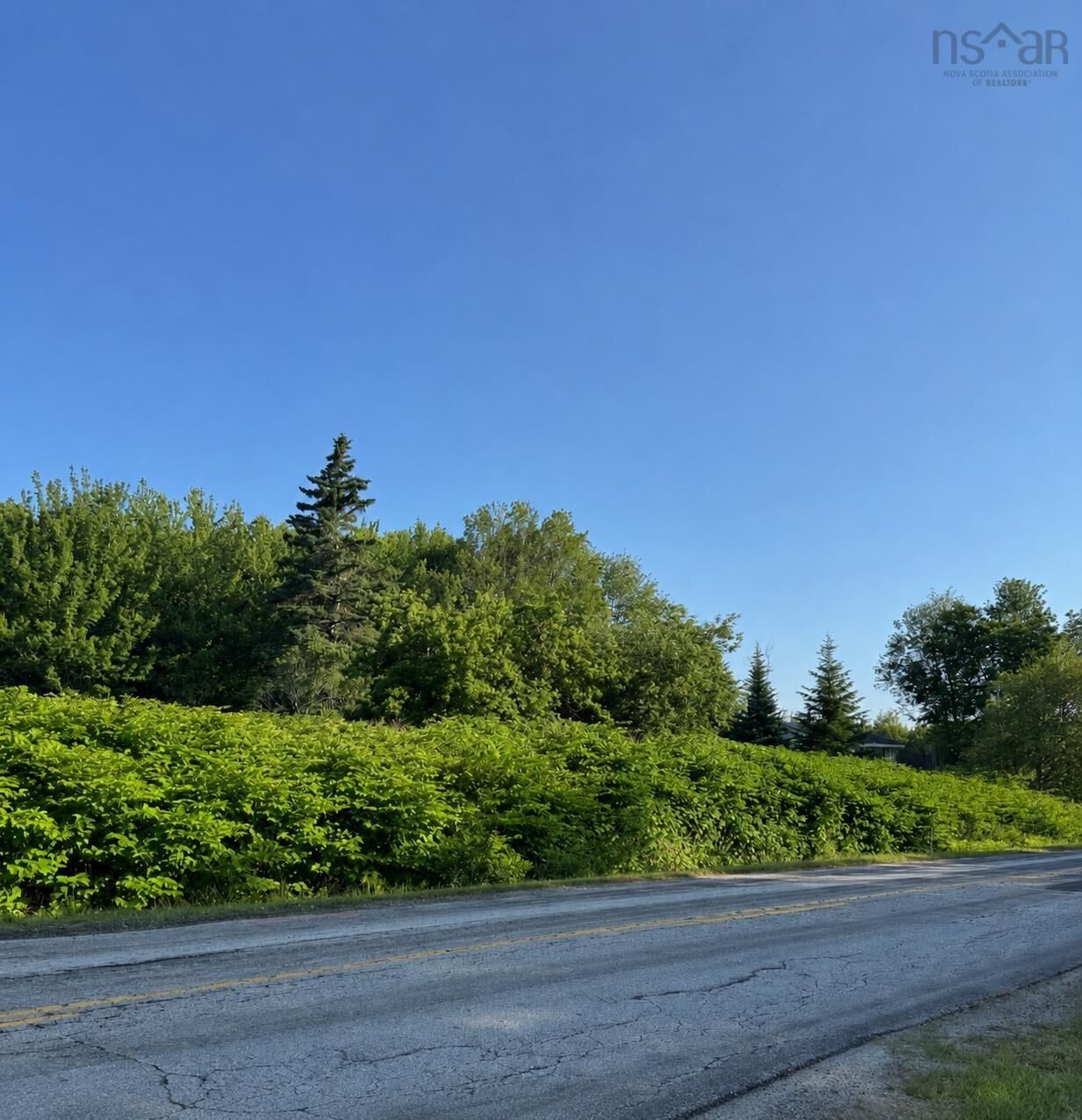 Property Photo:  Lot Mood Road  NS B5A 5N6 