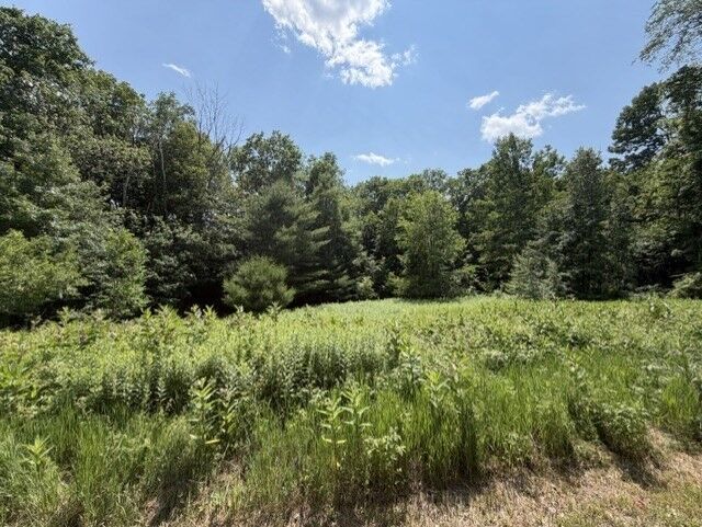 Property Photo:  25 Deer Run  MA 01223 