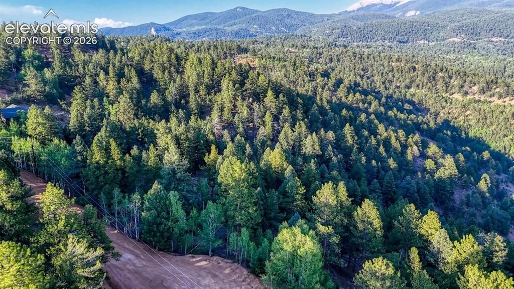 Property Photo:  364 Blue Spruce Road  CO 80814 
