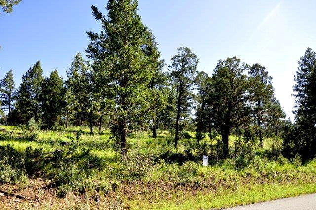 Property Photo:  237 Cummings Drive  NM 88345 