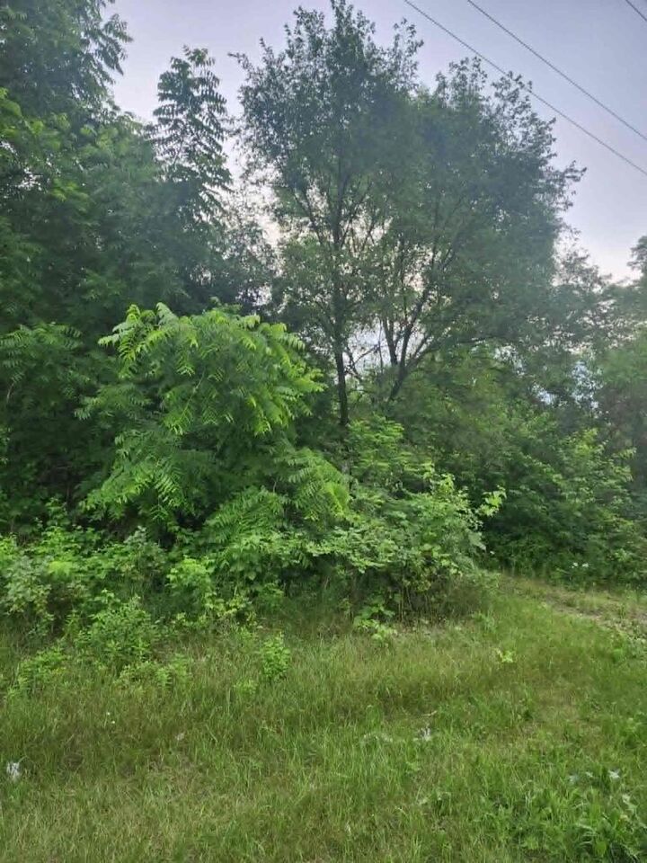 Property Photo:  S12704 County Line Road Road  WI 53556 