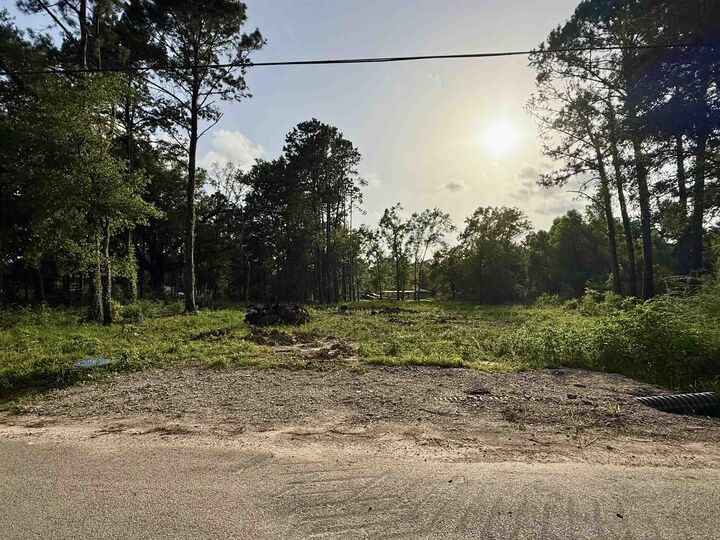 Property Photo:  11895 Cooks Lake Road  TX 77657 