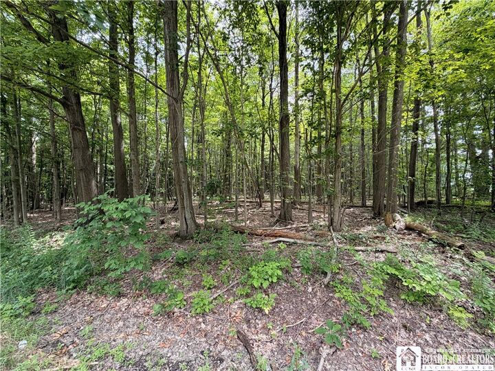 Property Photo:  0 Panama-Stedman Road  NY 14757 