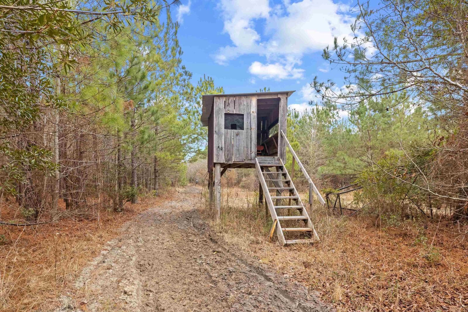 Property Photo:  Tbd 183 Acres Blakely Rd.  SC 29590 