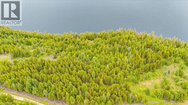 Property Photo:  Lower Arrow Lake Other  BC V1N 3H9 