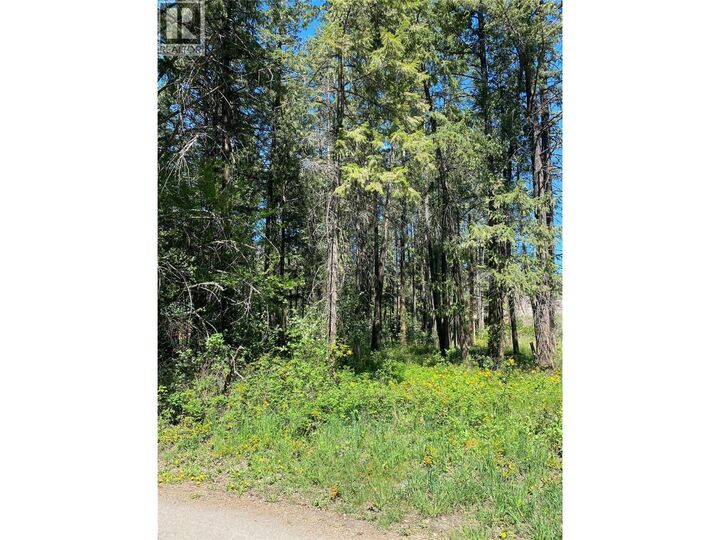 Property Photo:  867 Balsam Road  BC V1Z 3V8 