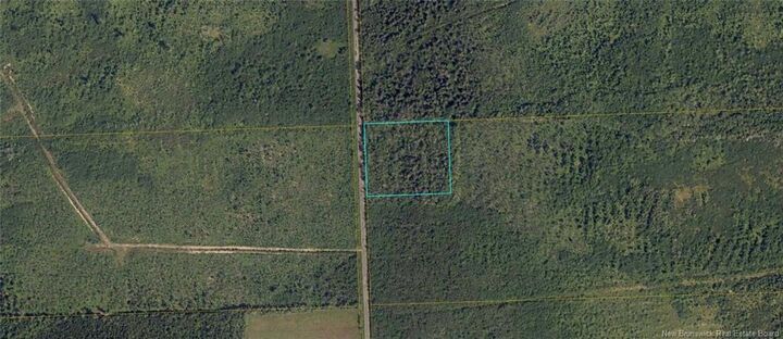 Property Photo:  Lot Richard Village Road  NB E4Y 1N6 