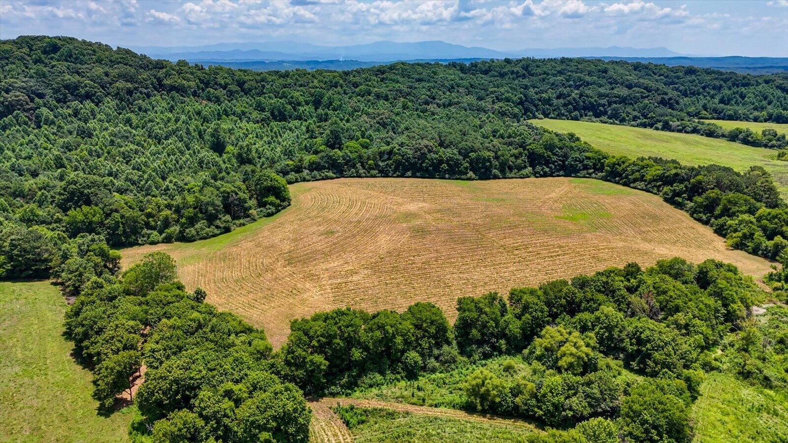 Property Photo:  0 Flint Springs Rd  TN 37323 