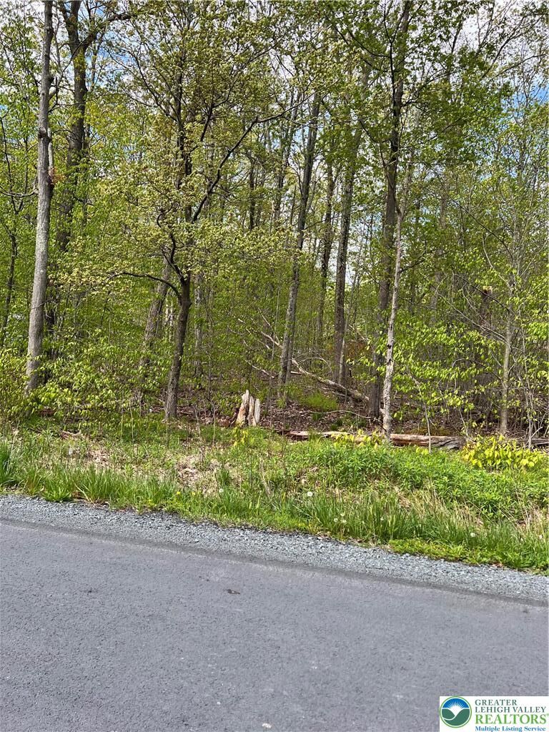 Property Photo:  2 Kickapoo Trail  PA 18210 