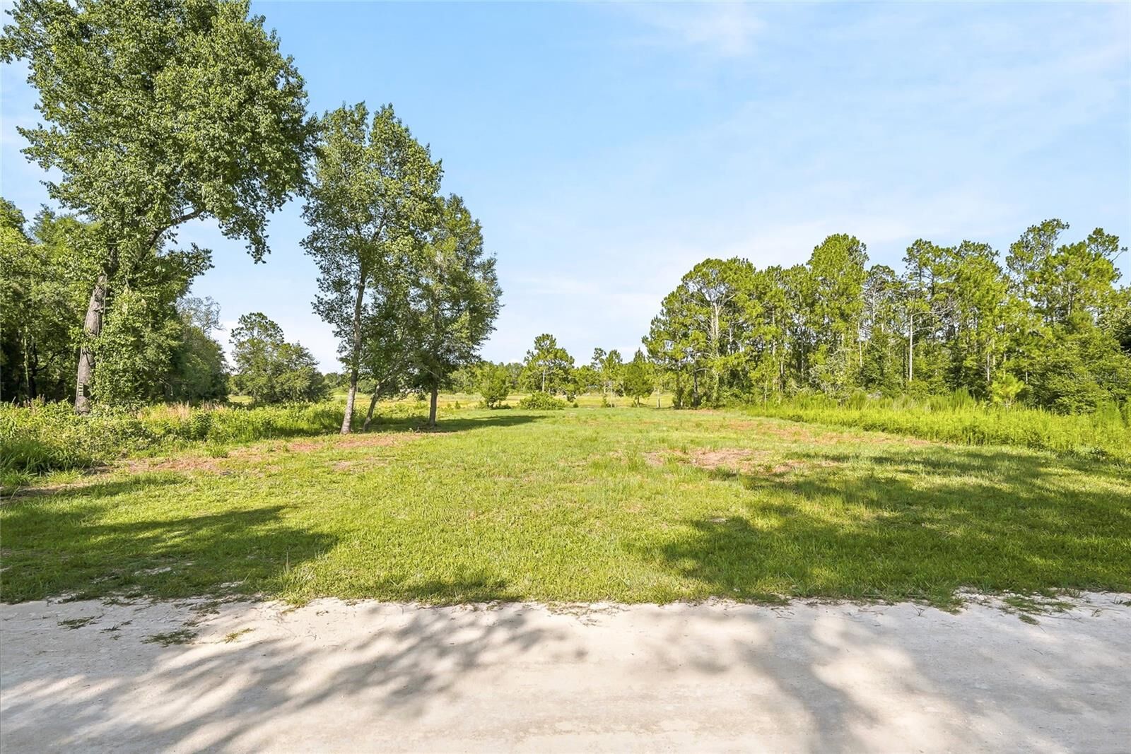 Property Photo: 100 Berryhill Drive FL 33597