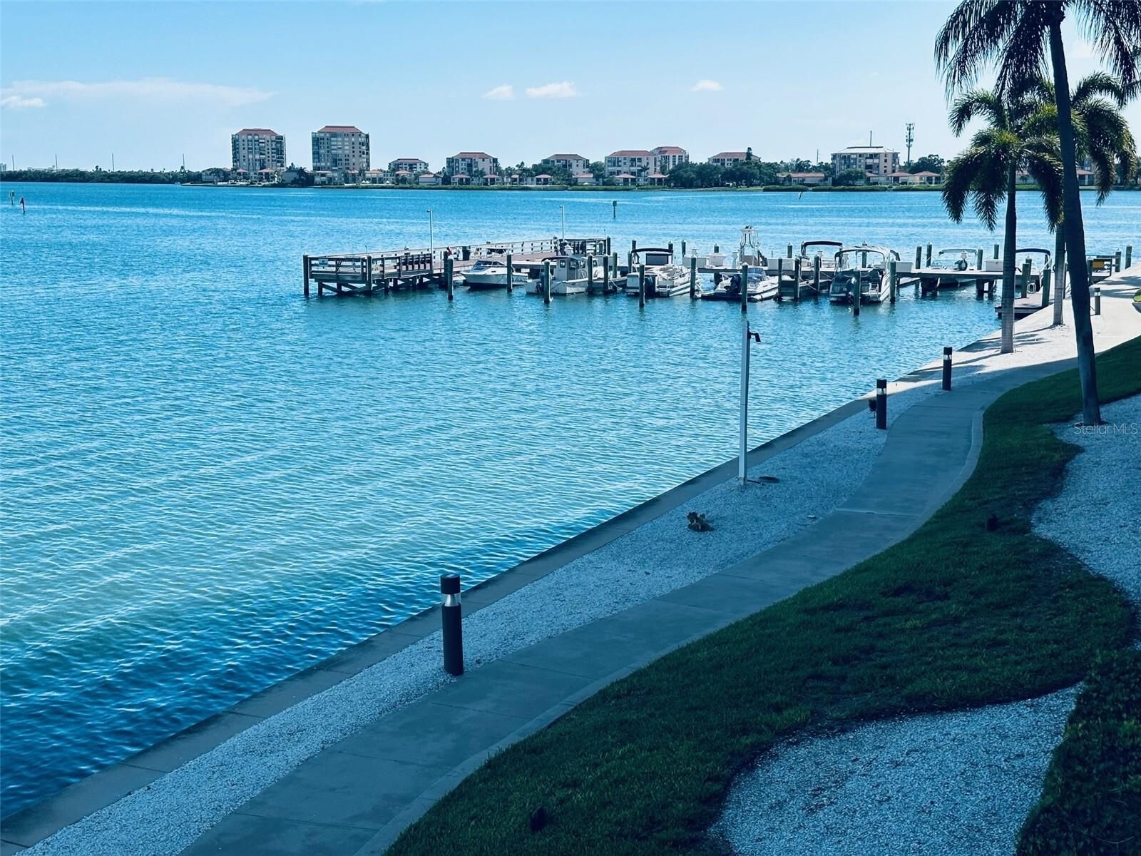 Property Photo:  5200 Brittany Drive S 204  FL 33715 