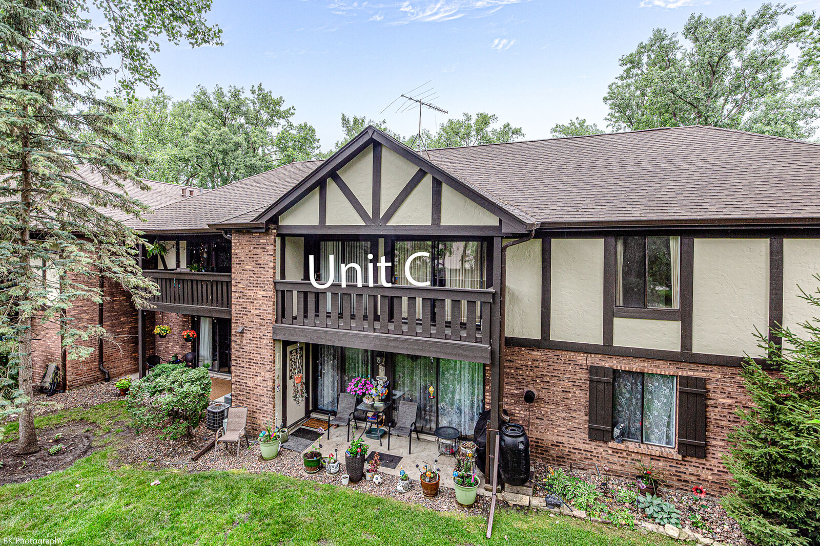 Property Photo: 8127 Chestnut Drive 58C IL 60465