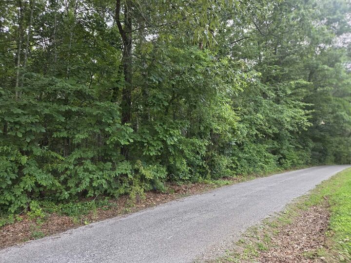 Property Photo: 0 Rogers Rd TN 38572