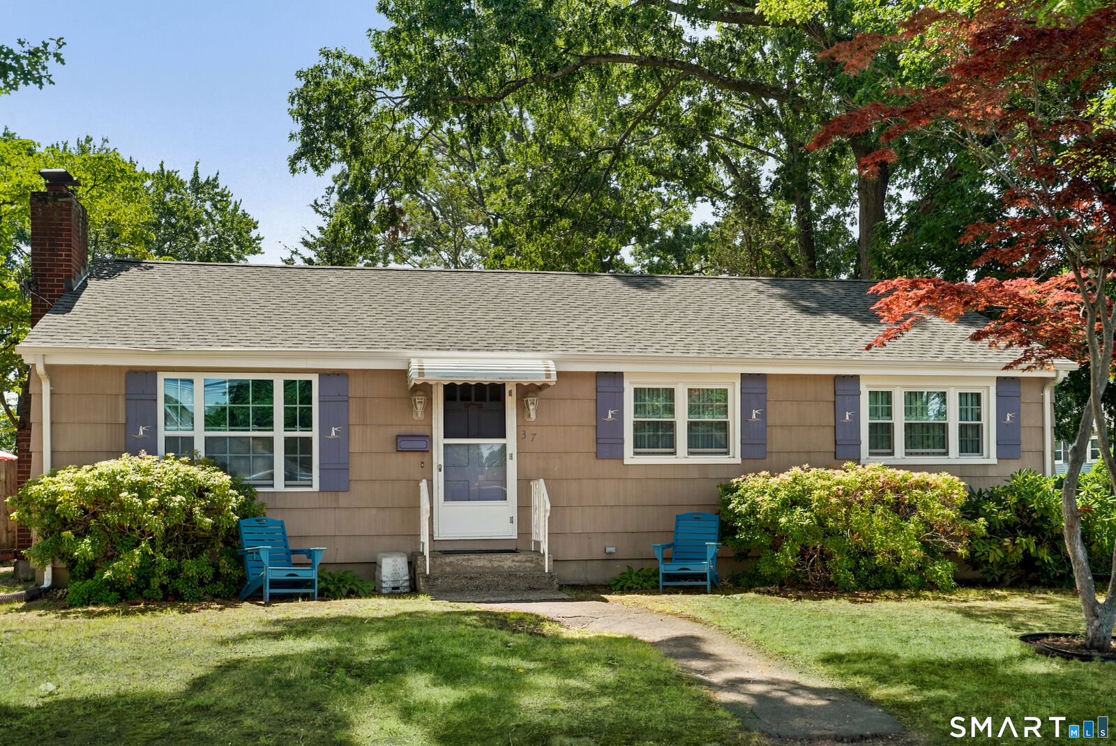 Property Photo:  37 Roosevelt Avenue  CT 06516 