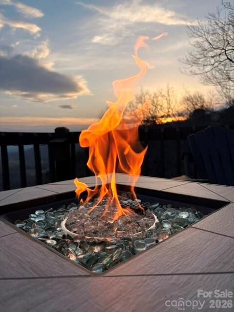 Property Photo:  452 Wilderness Drive  NC 28752 