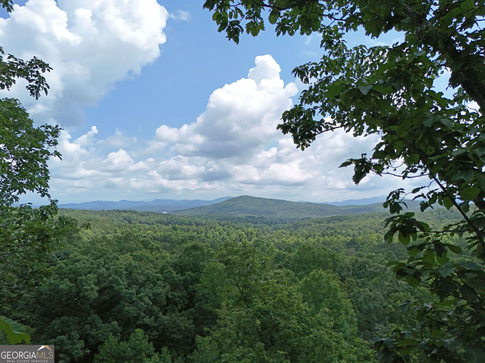 Property Photo:  Lot 71 Chicory Drive W  GA 30512 