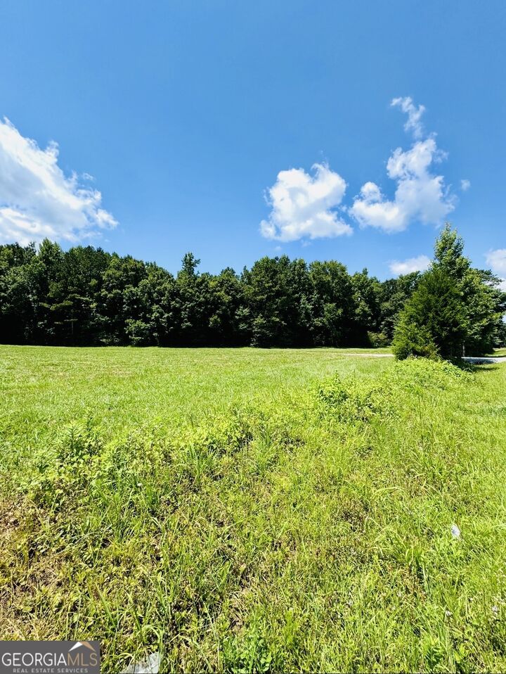 Property Photo:  0 Willowood Road  GA 30241 