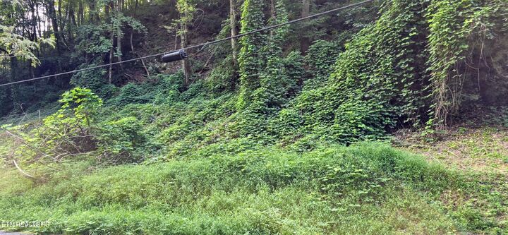 Property Photo:  Lot 0039 Black Walnut Flats Rd  TN 37862 