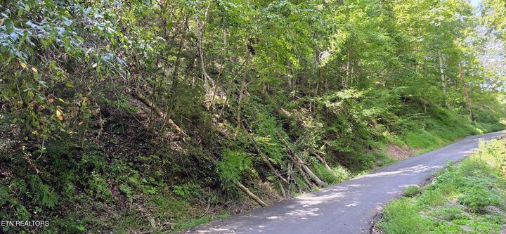 Property Photo:  Lot 0005 Sugar Maple Loop Rd  TN 37862 
